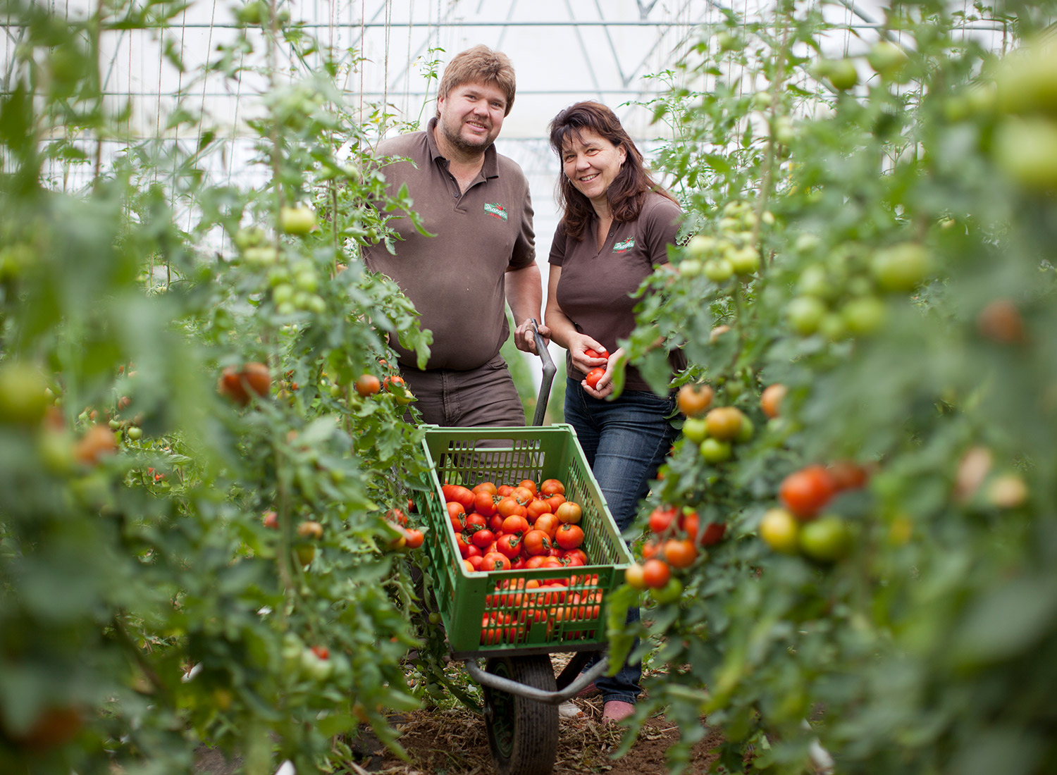 Projektbild Biohof Pranger