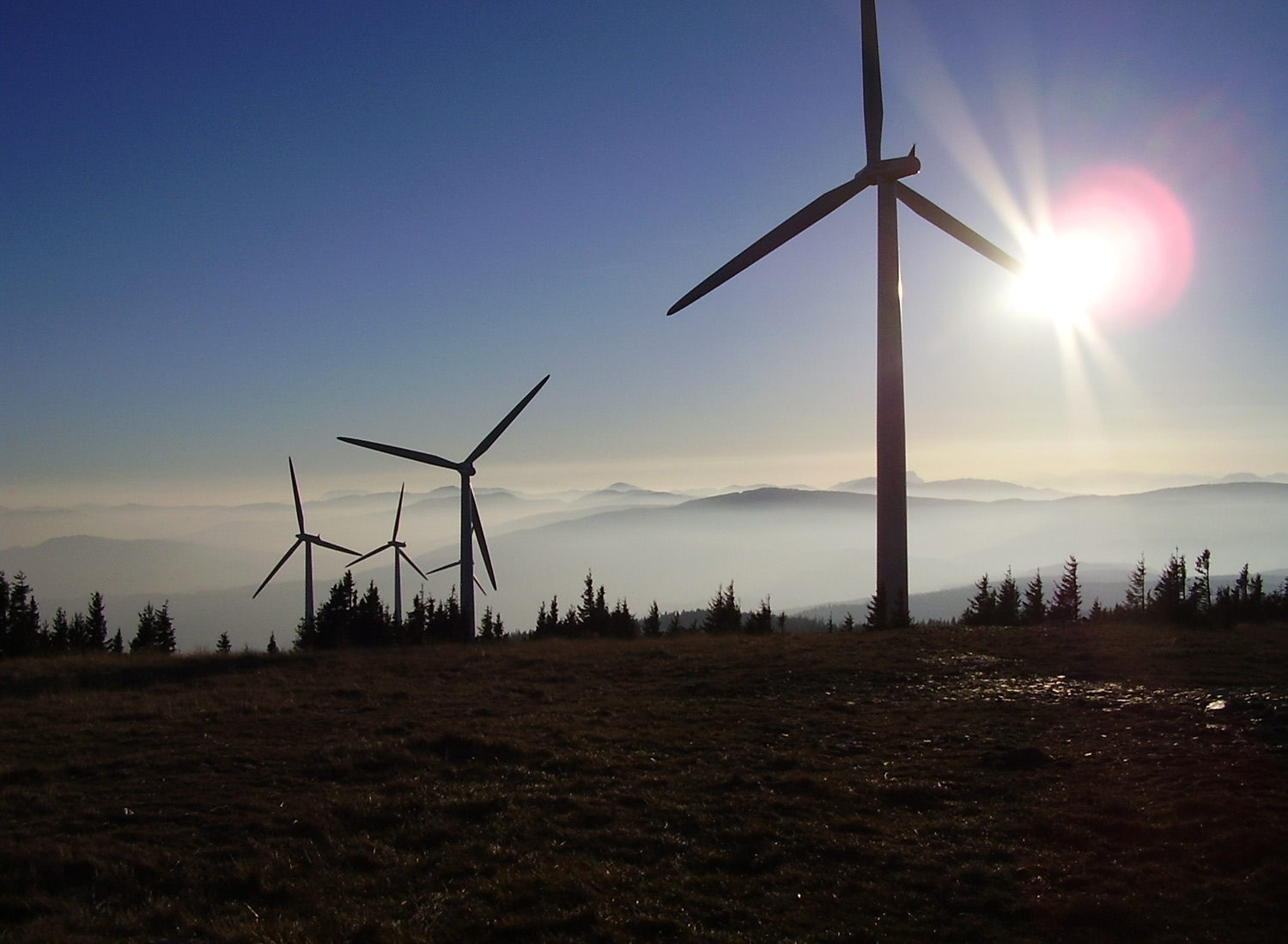 Projektbild Davitech