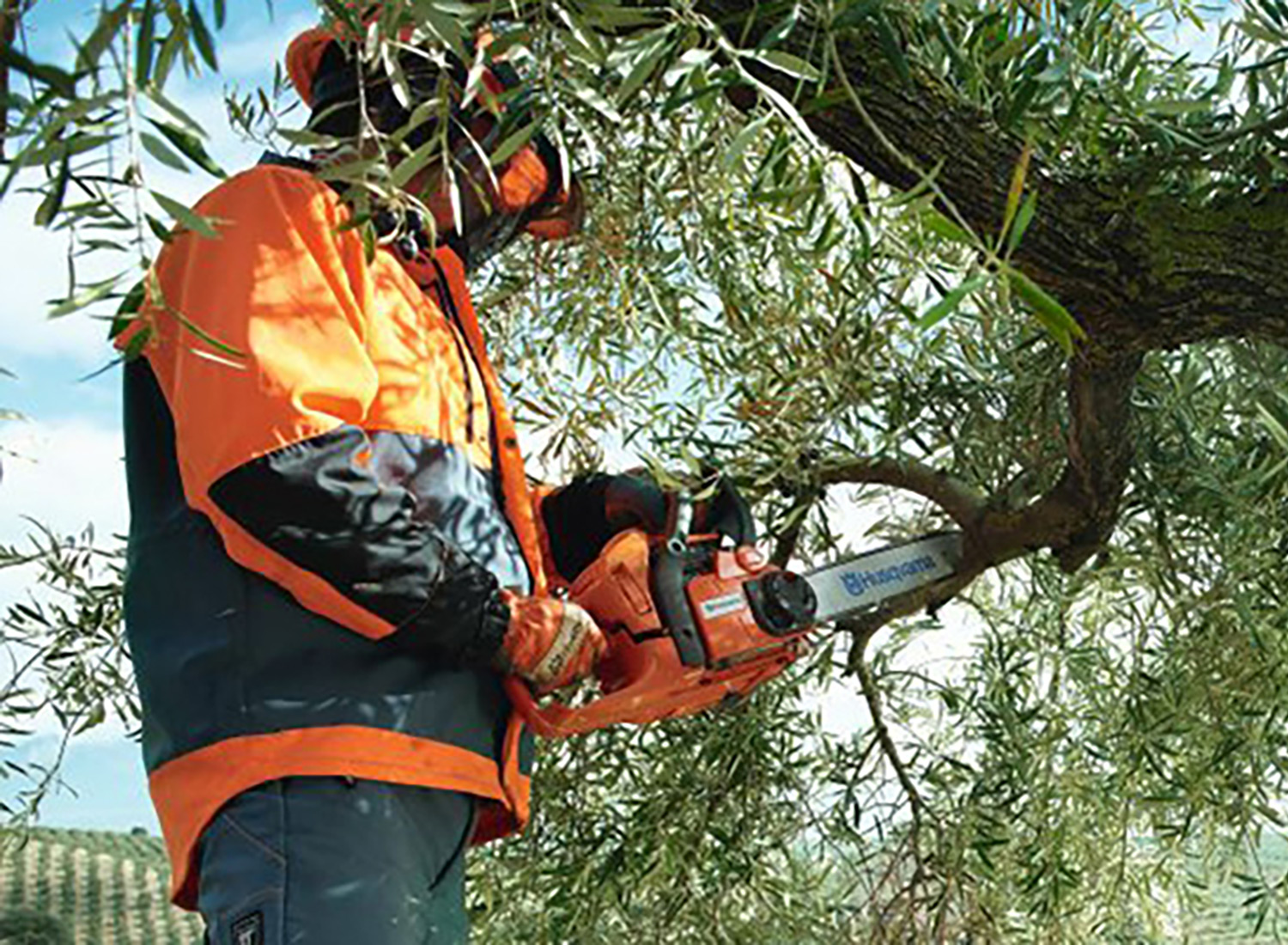 Projektbild Eduard Engel e.U.