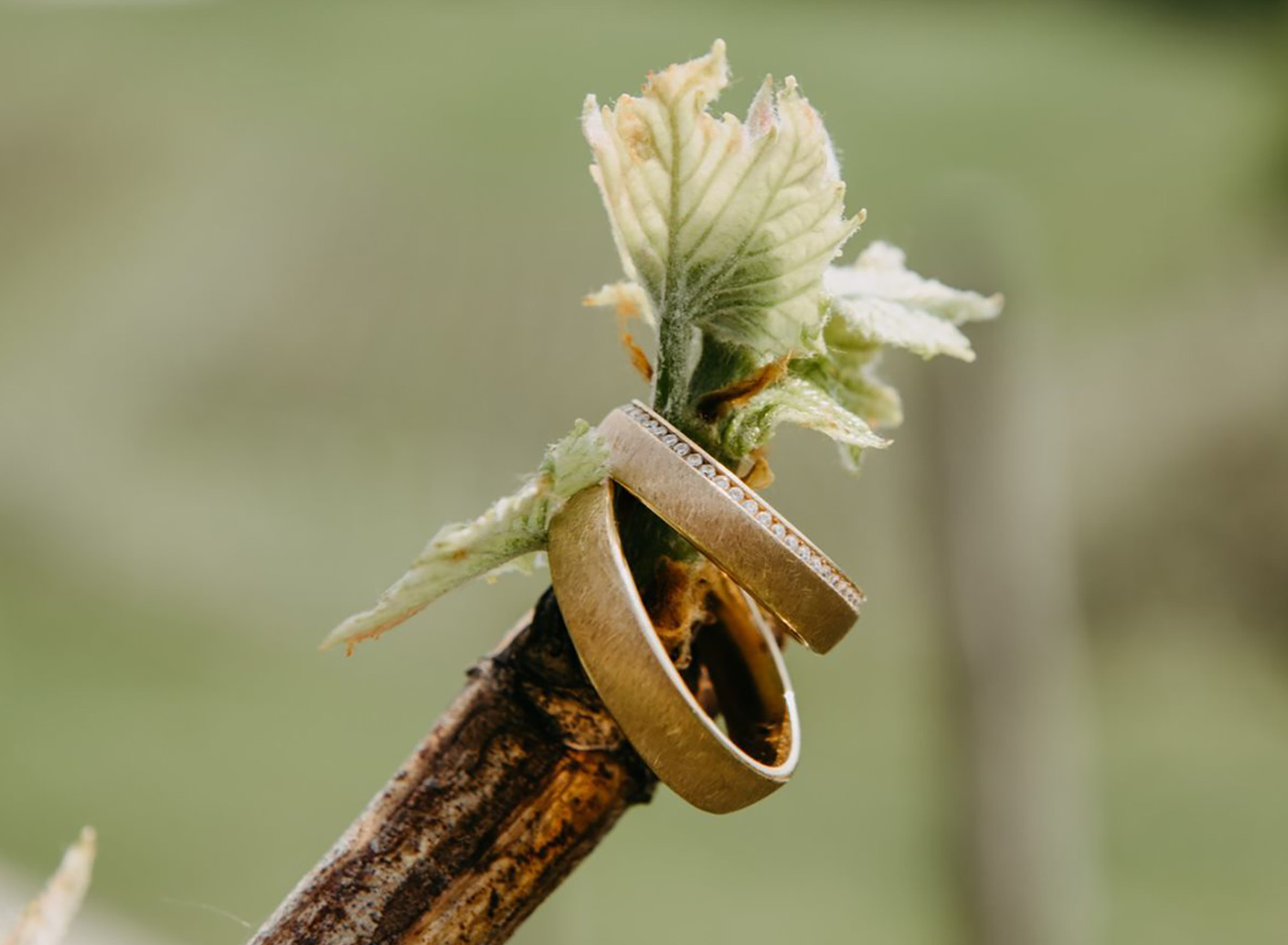 Projektbild Juwelier Koller & Koller