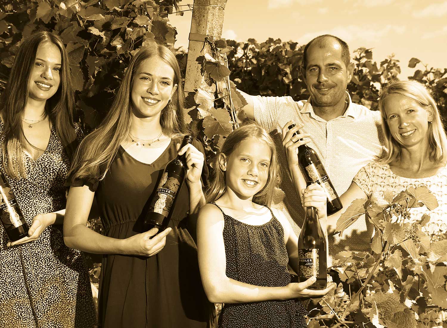 Projektbild Riedler Wein