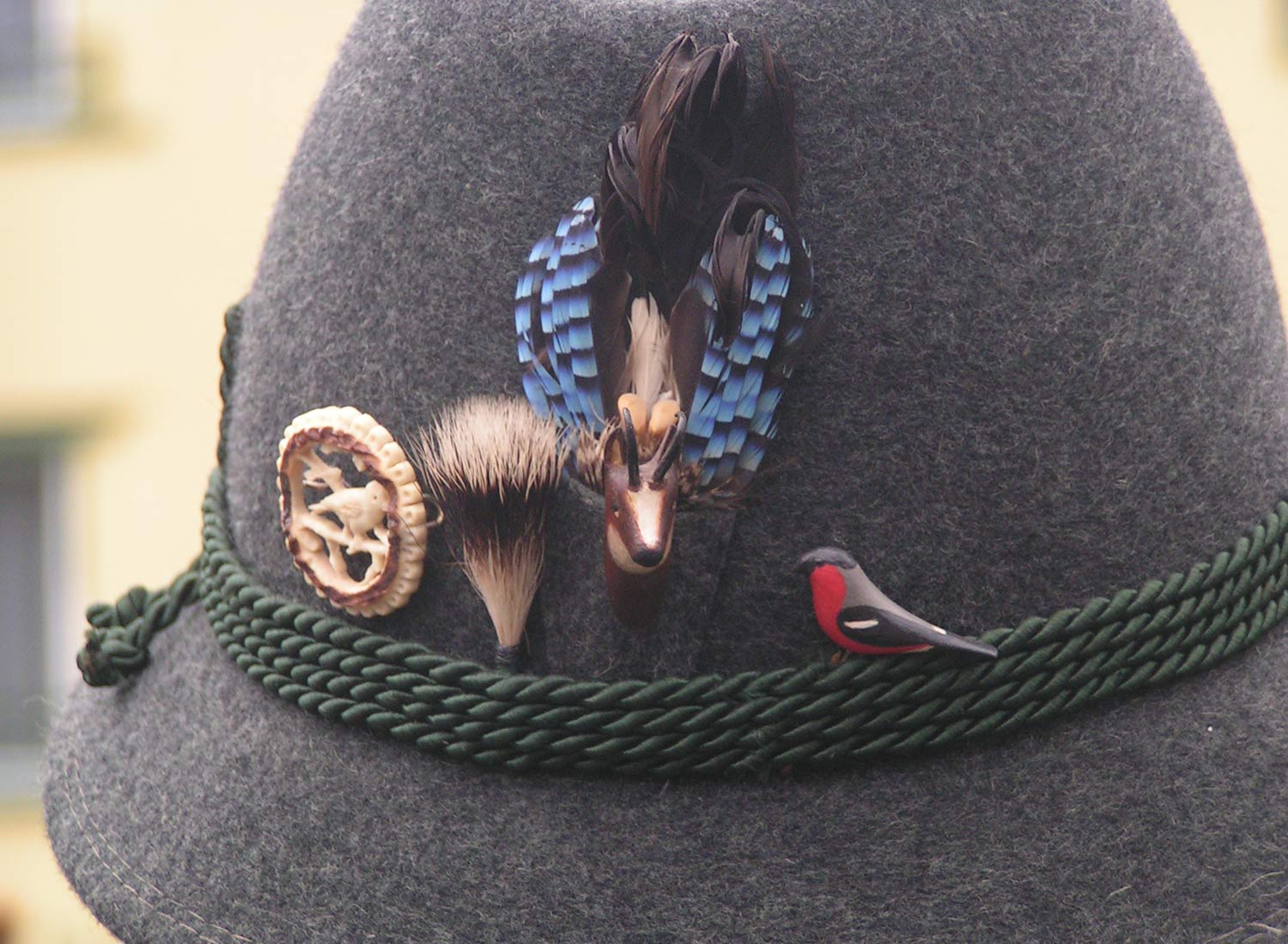 Projektbild Vogelfreunde Salzkammergut